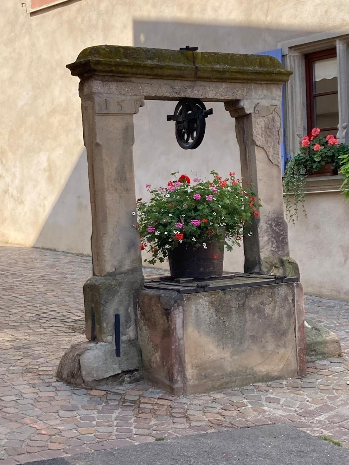 La Grange 1578 - Maison 4 Etoiles - Centre Ville - Commerce A Proximite Obernai Esterno foto